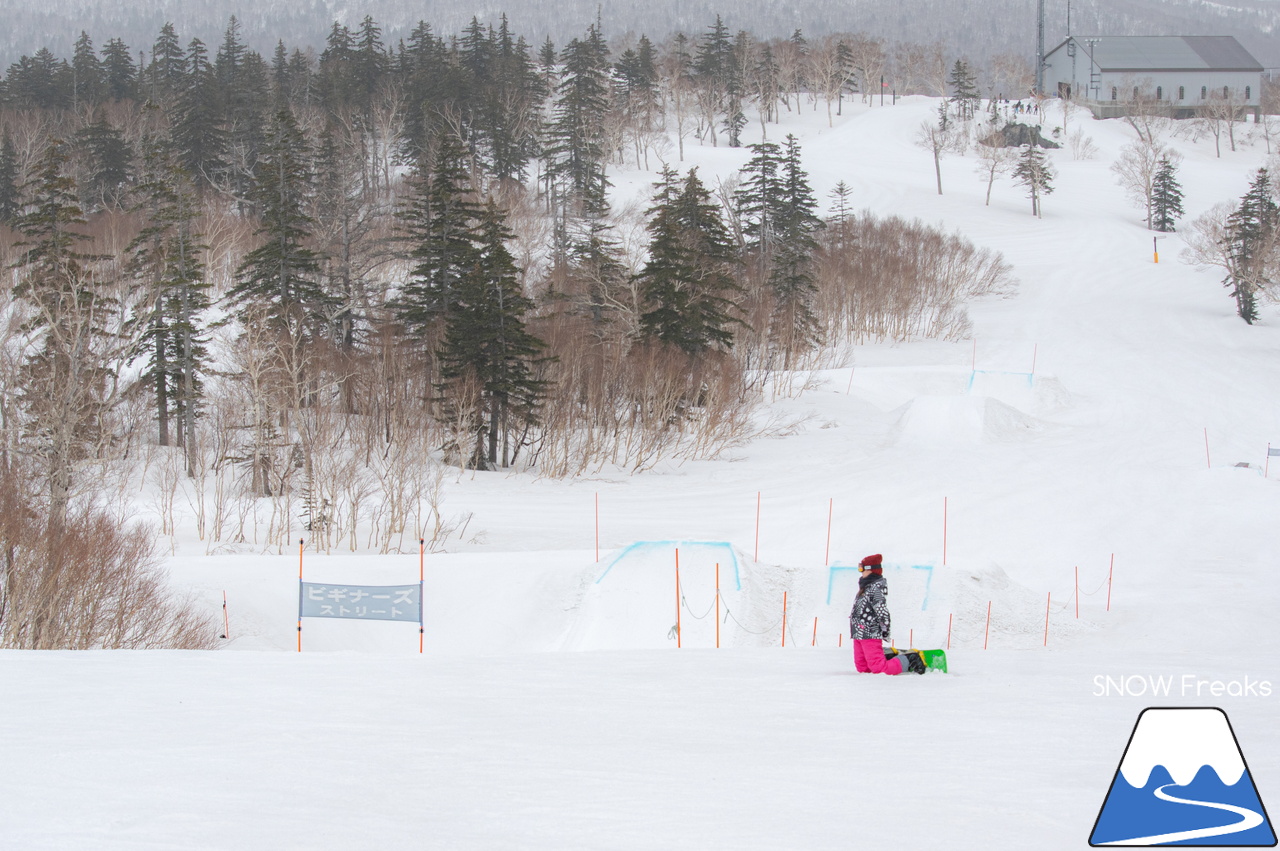 札幌国際スキー場｜山頂の積雪は、300cm！連日の春スキー＆スノーボード日和から一転、今日は冬が帰ってきました♪